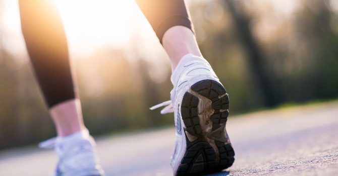 Exercise and Rehabilitation 